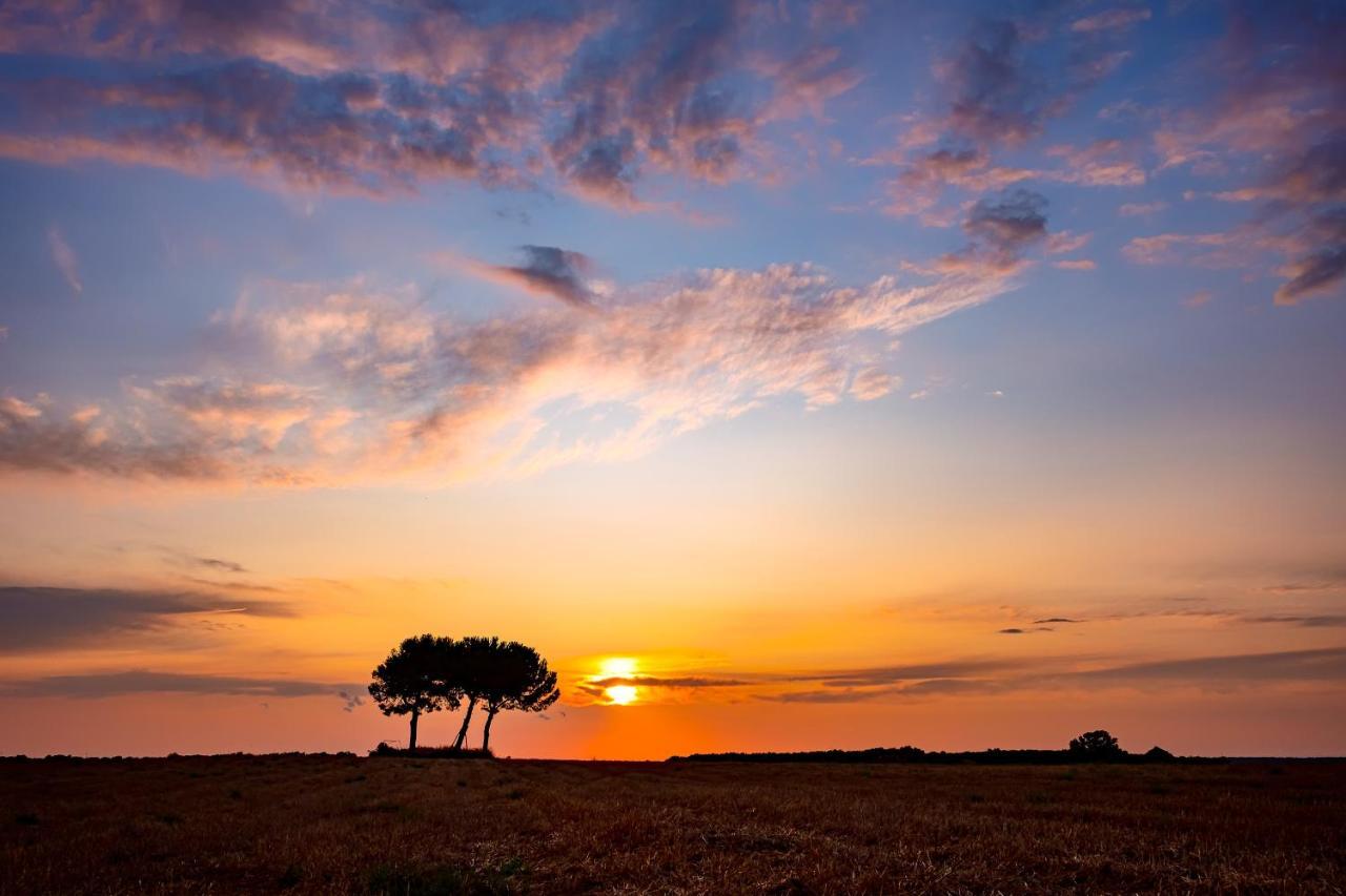 Masseria Bagnara Resort & Spa マリーナ・ディ・リッツァーノ エクステリア 写真