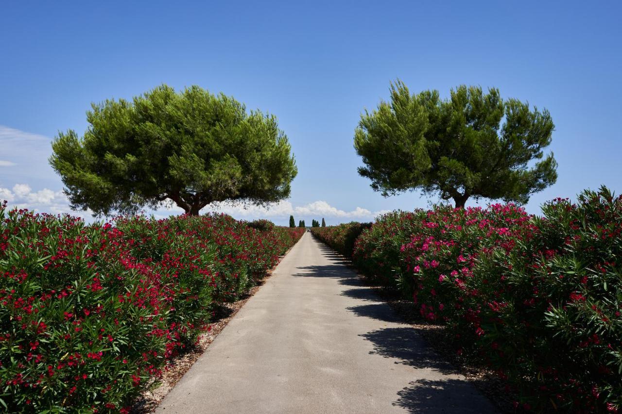 Masseria Bagnara Resort & Spa マリーナ・ディ・リッツァーノ エクステリア 写真